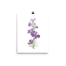 Load image into Gallery viewer, Larkspur - Art Print