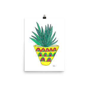 Zebra Plant - Art Print