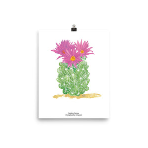 Beehive Cactus - Art Print