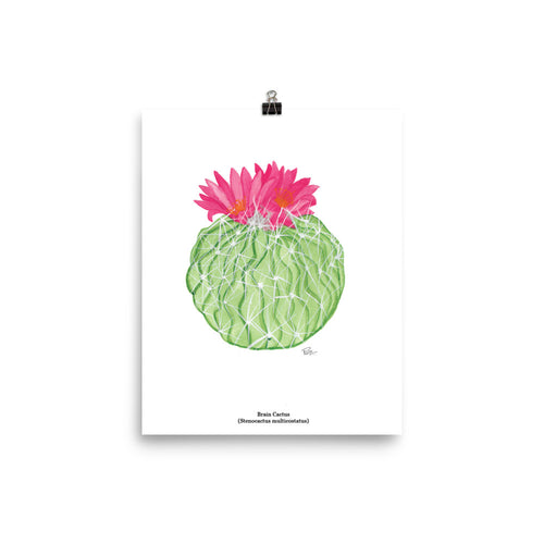 Brain Cactus - Art Print