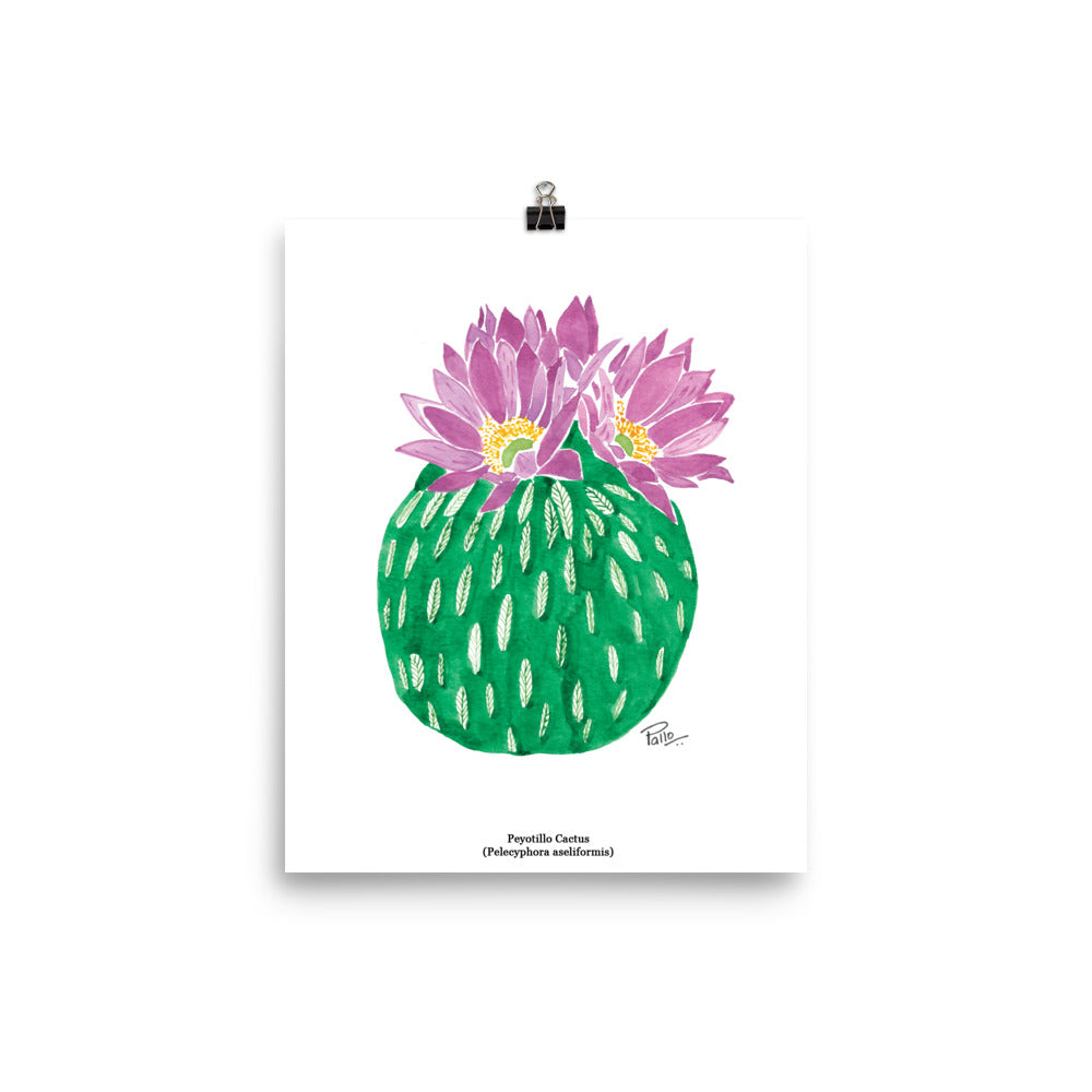 Peyotillo Cactus - Art Print
