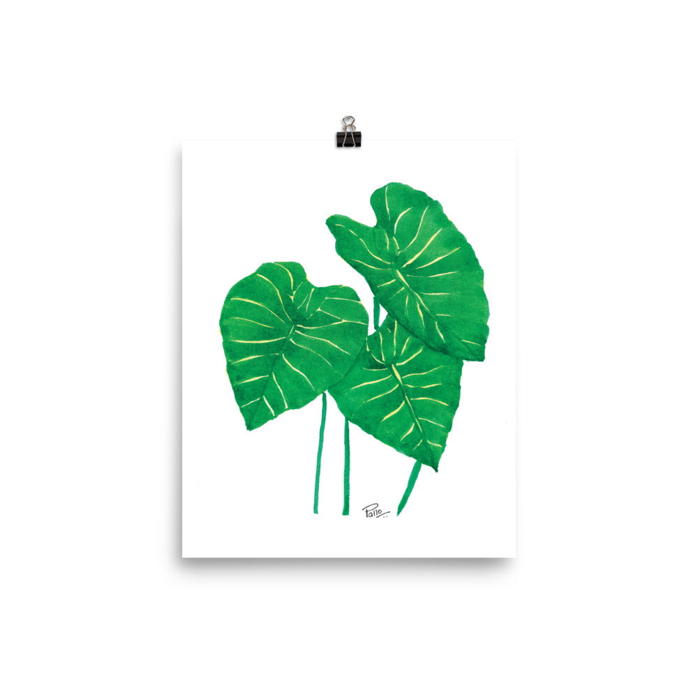 Monstera Leaf bunch - Art Print