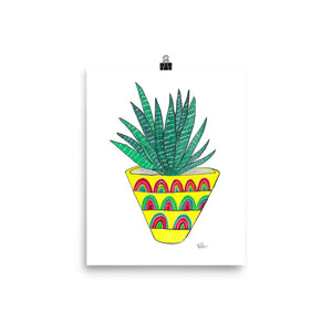 Zebra Plant - Art Print